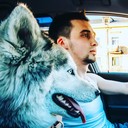 ���������� ������������, ���� ������� �������, 36 ���, ������������ ��� ������, ����� � ���������, c�������� ���������