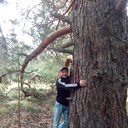 ���������� ��������, ���� ������� ������, 49 ���, ������������ ��� ������, ����� � ���������, c�������� ���������