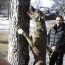 ���������� ���������, ���� ������� ����, 41 ���, ������������ ��� ������, ����� � ���������, c�������� ���������, ���������