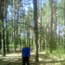  ,   Bars, 36 ,     , c 