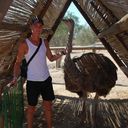 ���������� �����-���������, ���� ������� Johny, 40 ���, ������������ ��� ������