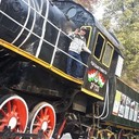 ���������� �������, ���� ������� �������, 36 ���, ������������ ��� ������, ����� � ���������, c�������� ���������