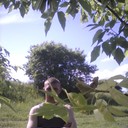 ���������� �����, ���� ������� ��������, 36 ���, ������������ ��� ������, ����� � ���������, c�������� ���������