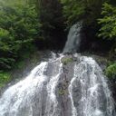 ���������� ������, ���� ������� Dato, 48 ���, ������������ ��� ������, ����� � ���������