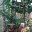 ���������� ���������, ���� ������� �������, 37 ���, ������������ ��� c�������� ���������, ���������