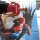 ���������� �����������, ���� ������� �������, 48 ���, ������������ ��� ����� � ���������, c�������� ���������