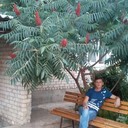 ���������� ��������, ���� ������� �������, 46 ���, ������������ ��� ������, ����� � ���������, c�������� ���������