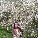  ,   , 54 ,     , c 