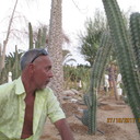  ,   , 51 ,   