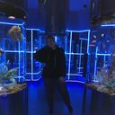 ���������� �������, ���� ������� ���, 32 ����, ������������ 