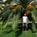  ,   , 62 ,     