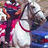  ,   Jasurbek, 45 ,   ,   , c 
