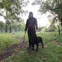 ���������� ������, ���� ������� �������, 37 ���, ������������ ��� ������, ����� � ���������