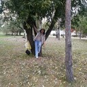 ���������� ����, ���� ������� ����, 59 ���, ������������ ��� c�������� ���������, ���������