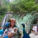 ���������� ������, ���� ������� ���, 36 ���, ������������ 