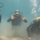 ���������� ���������, ���� ������� �����, 43 ����, ������������ ��� ������