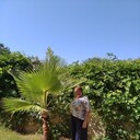 ,   , 59 ,   c 