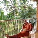 ���������� ������, ���� ������� Xerox, 39 ���, ������������ ��� ������, ����� � ���������