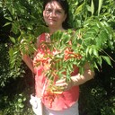  ,   , 53 ,   ,   , c 