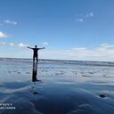  -,   , 31 ,   ,   
