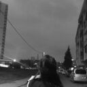 ���������� ������, ���� ������� ���, 25 ���, ������������ ��� ������, ����� � ���������