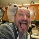 ���������� Dronten, ���� ������� ������, 49 ���, ������������ ��� c�������� ���������