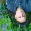 ���������� �����, ���� ������� �����, 52 ����, ������������ ��� ������