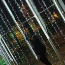 ���������� �����-���������, ���� ������� MileDi, 36 ���, ������������ ��� ������, ����� � ���������