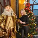 ���������� �������������, ���� ������� �������, 49 ���, ������������ ��� ����� � ���������, c�������� ���������