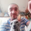 ���������� ���������, ���� ������� Petya, 41 ���, ������������ ��� ������, ����� � ���������