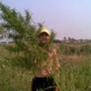 ���������� ������, ���� ������� � �� id15507, 41 ���, ������������ 