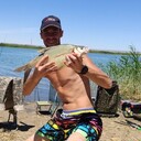 ���������� ������, ���� ������� ������, 33 ����, ������������ ��� ������, ����� � ���������, c�������� ���������, ���������