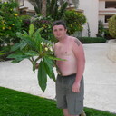 ���������� �����, ���� ������� ����, 44 ����, ������������ ��� ������