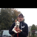 ���������� �����, ���� ������� �����, 33 ����, ������������ ��� ������, ����� � ���������, c�������� ���������