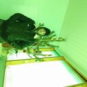 ���������� ������, ���� ������� ���������, 44 ����, ������������ ��� ������, ����� � ���������, c�������� ���������