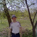   ,   , 33 ,     , c , 