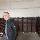 ���������� ������, ���� ������� ������, 51 ���, ������������ ��� ������, ����� � ���������, c�������� ���������, ���������