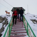  ,   Ali, 29 ,   ,   , c 