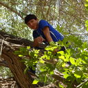 ���������� ������, ���� ������� Daniel, 31 ���, ������������ 