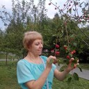 ���������� ����������, ���� ������� �����, 48 ���, ������������ ��� ������, ����� � ���������