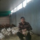 ���������� ��������, ���� ������� ����, 49 ���, ������������ ��� ������, ����� � ���������