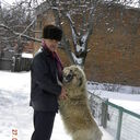 ���������� �������, ���� ������� �����, 62 ����, ������������ ��� c�������� ���������