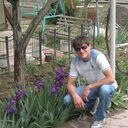 ���������� ����������, ���� ������� �������, 38 ���, ������������ ��� ������