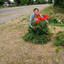 ���������� �������, ���� ������� ������, 53 ����, ������������ ��� c�������� ���������