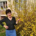  ,   , 58 ,   c 
