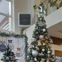 ���������� ������ ��������, ���� ������� ������, 29 ���, ������������ ��� ������, ����� � ���������, c�������� ���������