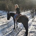 ���������� ���������, ���� ������� �����, 27 ���, ������������ ��� ������, ����� � ���������