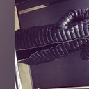 ���������� �����������-��-�����, ���� ������� ����, 26 ���, ������������ ��� ������, ����� � ���������