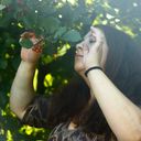 ���������� ������, ���� ������� ����777, 31 ���, ������������ ��� ������, ����� � ���������, c�������� ���������