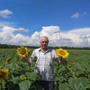 ���������� ������������, ���� ������� �������, 72 ����, ������������ ��� ������, ����� � ���������